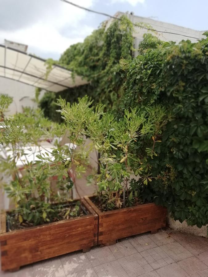 Hotel Noto Marina Stella Marina - B&B Lido di Noto 외부 사진